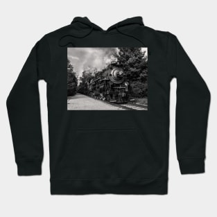 Nickel Plate Berkshire 765 Hoodie